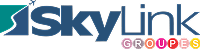 Skylink Groupes logo